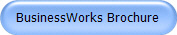 BusinessWorks Brochure